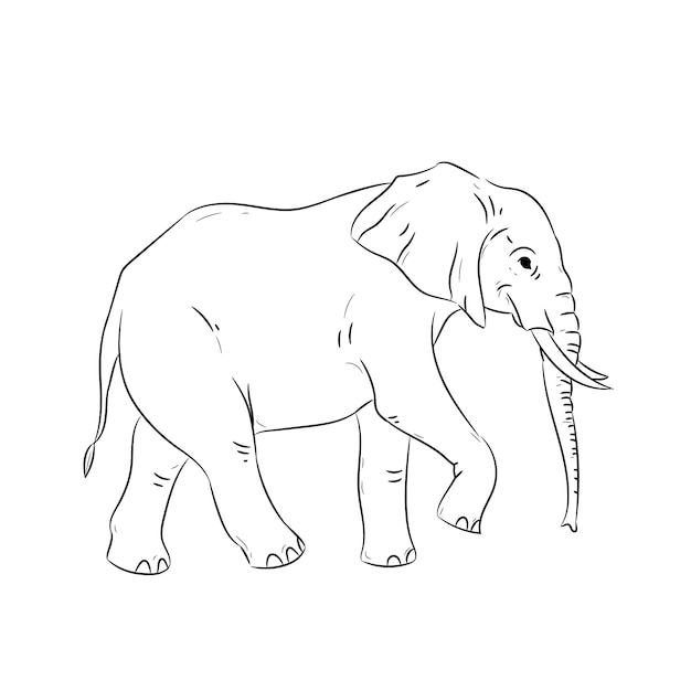 Free vector hand drawn flat design elephant outline