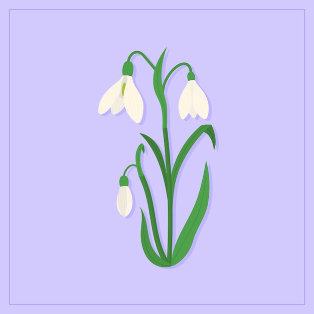 Hand drawn flat design flower illustration