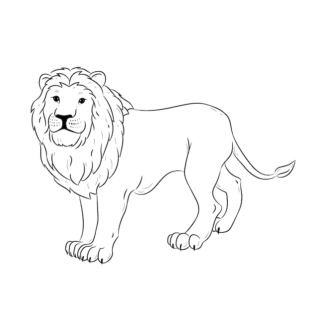 Free Vector hand drawn flat design lion outline