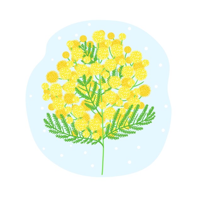 Hand drawn flat design mimosa illustration