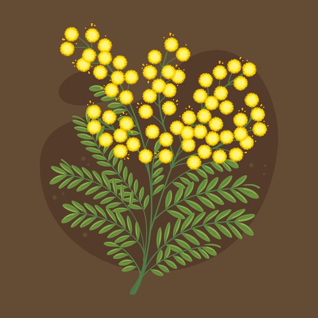 Free Vector hand drawn flat design mimosa illustration