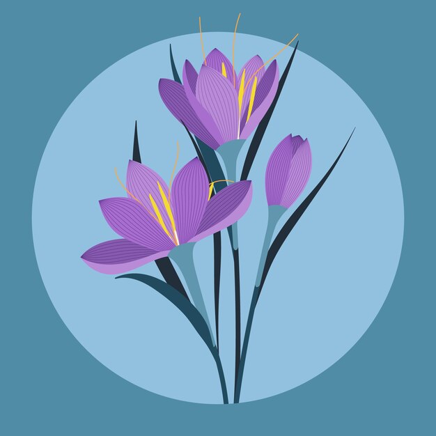 Hand drawn flat design saffron illustration