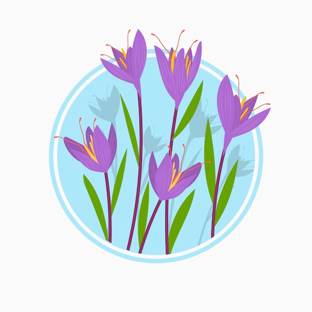 Hand drawn flat design saffron illustration