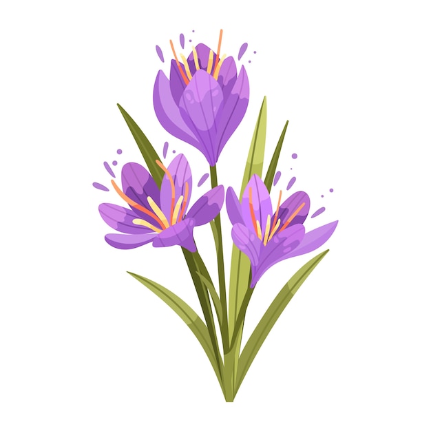 Free Vector hand drawn flat design saffron illustration