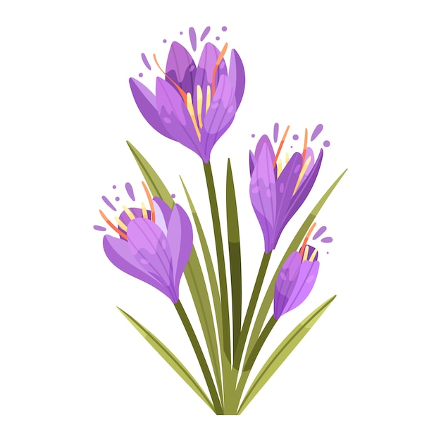 Free Vector hand drawn flat design saffron illustration