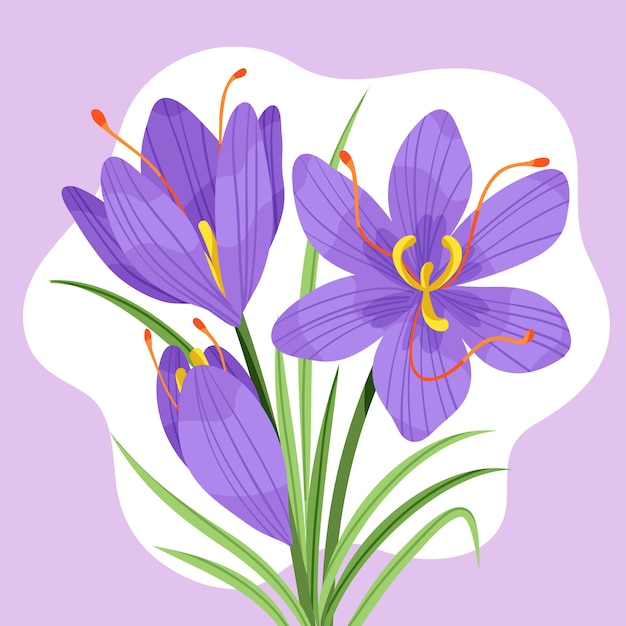 Free Vector hand drawn flat design saffron illustration