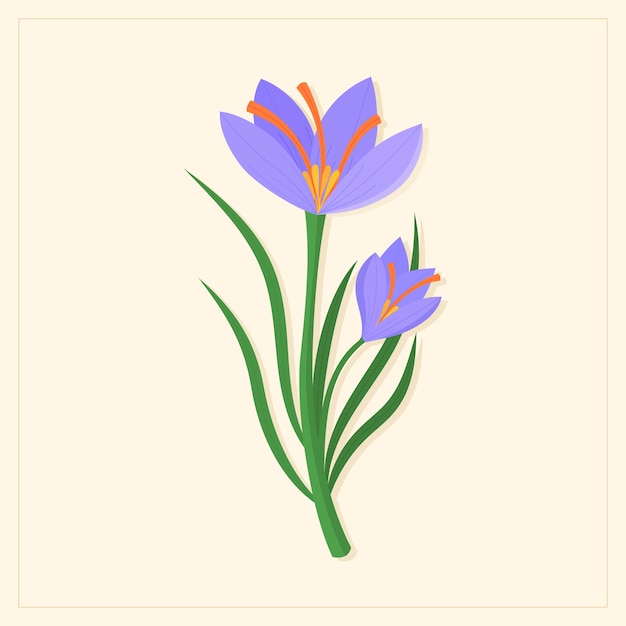 Free Vector hand drawn flat design saffron illustration