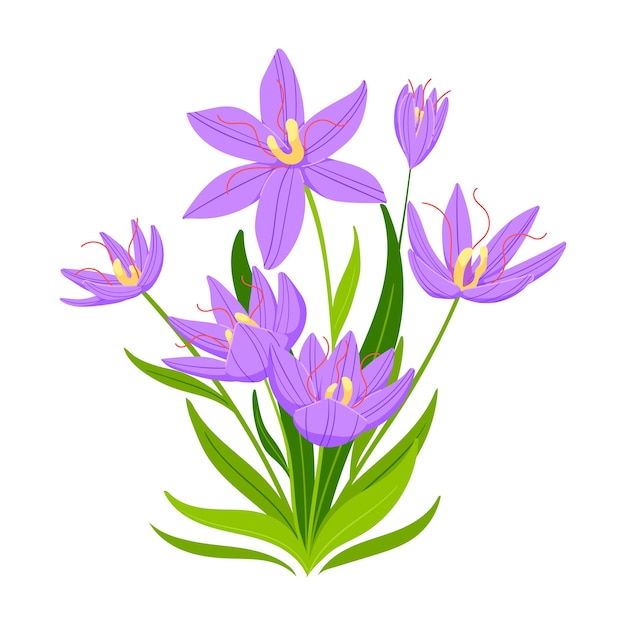 Free Vector hand drawn flat design saffron illustration