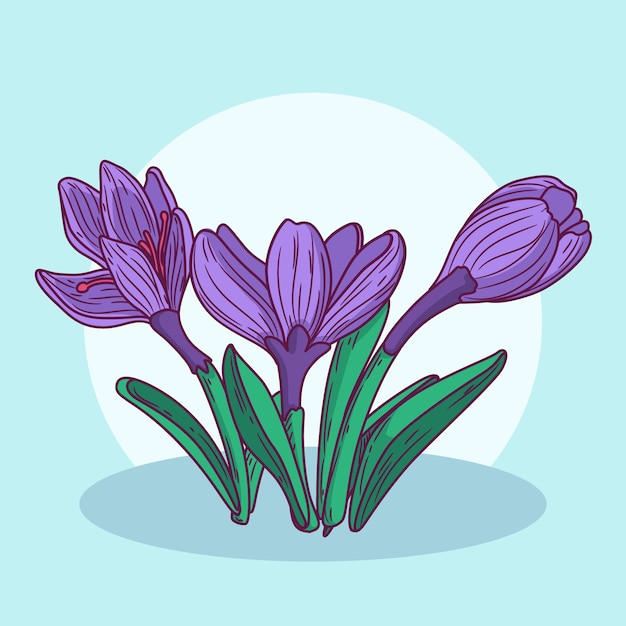 Free Vector hand drawn flat design saffron illustration