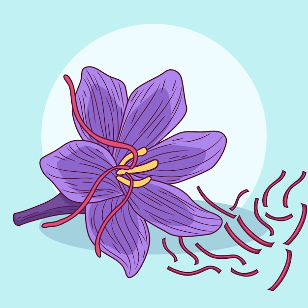 Hand drawn flat design saffron illustration