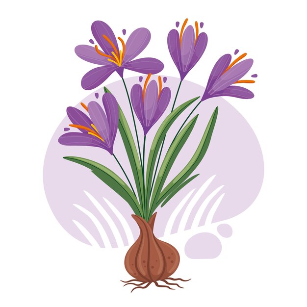 Hand drawn flat design saffron illustration