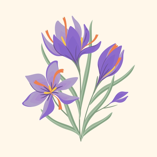 Free Vector hand drawn flat design saffron illustration