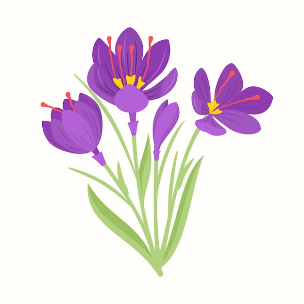 Free Vector hand drawn flat design saffron