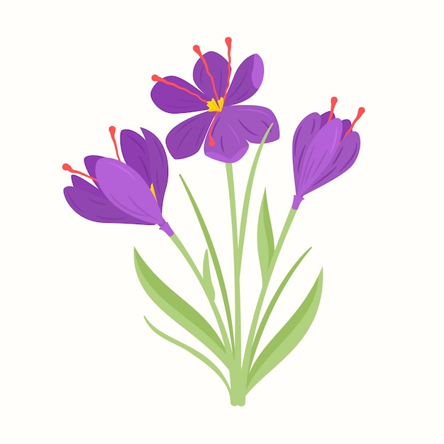 Free Vector hand drawn flat design saffron