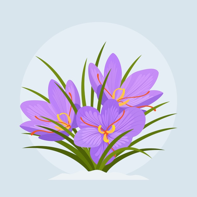 Free vector hand drawn flat design saffron