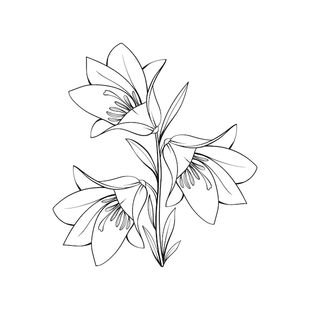 Free vector hand drawn flat design simple flower outline