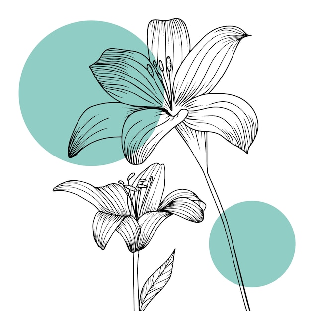 Hand drawn flat design simple flower outline