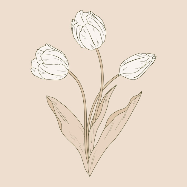 Hand drawn flat design simple flower outline