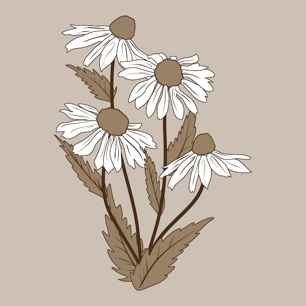 Free Vector hand drawn flat design simple flower outline