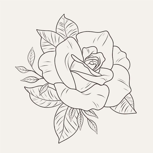 Hand drawn flat design simple flower outline