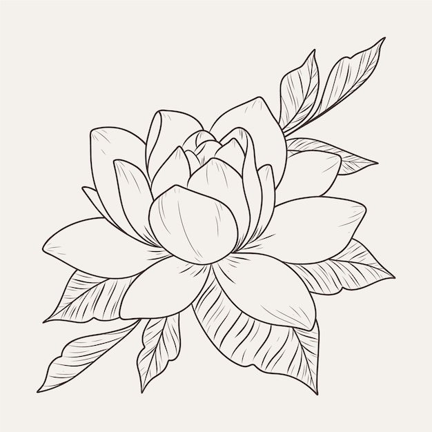 Hand drawn flat design simple flower outline