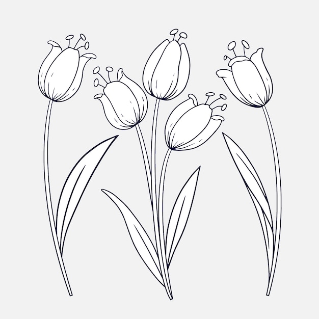 Hand drawn flat design simple flower outline