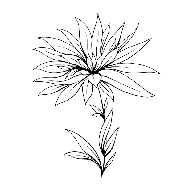 Hand drawn flat design simple flower outline