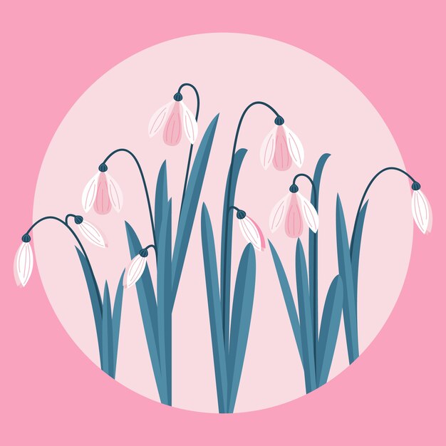 Hand drawn flat design snowdrop illustration