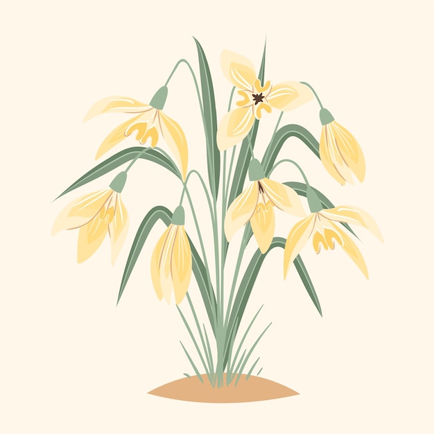 Free Vector hand drawn flat design snowdrop illustration