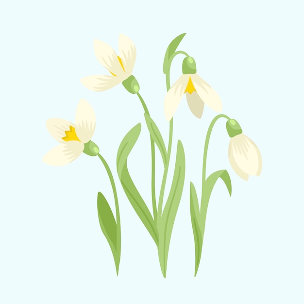 Hand drawn flat design snowdrop