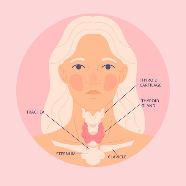 Hand drawn flat design thyroid illustration