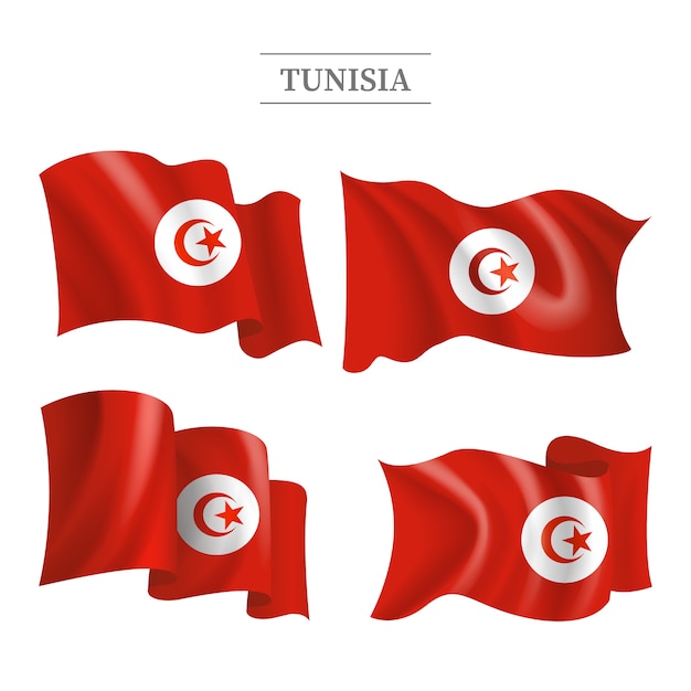 Hand drawn flat design tunisia national emblems