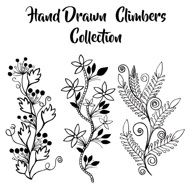 hand drawn Floral climbers collection