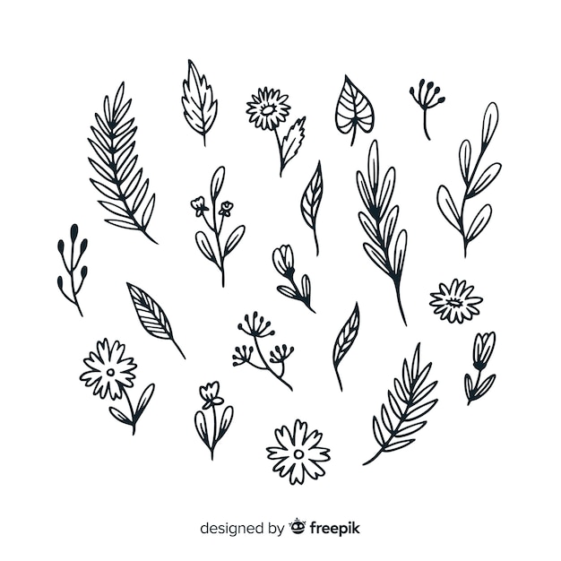 Hand drawn floral decoration elements