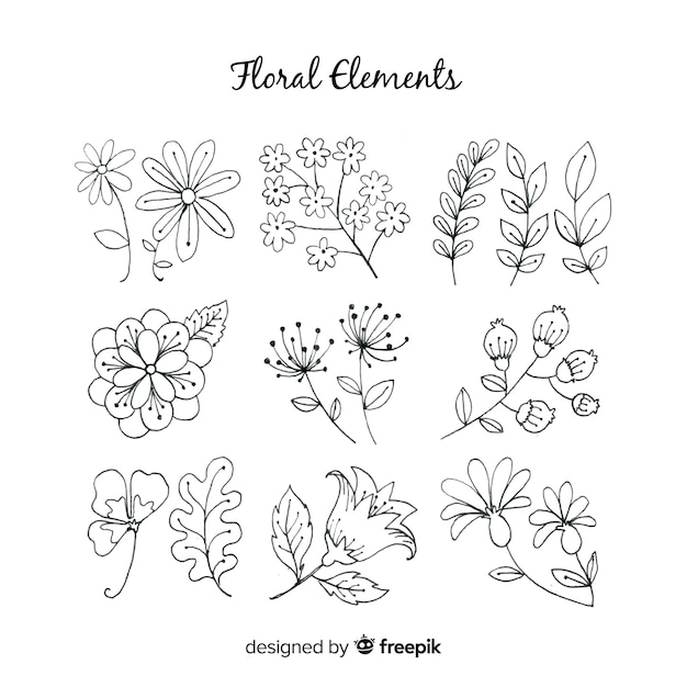 Hand drawn floral decoration elements