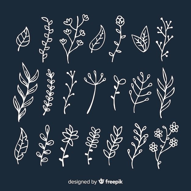 Hand drawn floral decoration elements