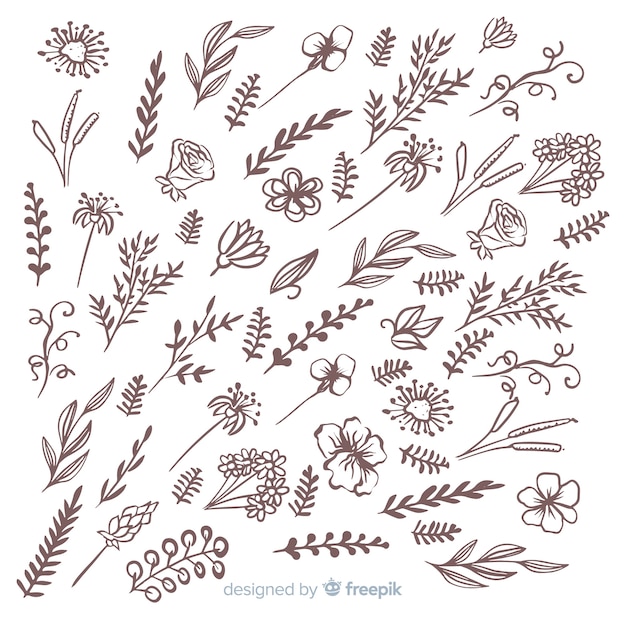 Free Vector hand drawn floral decoration elements