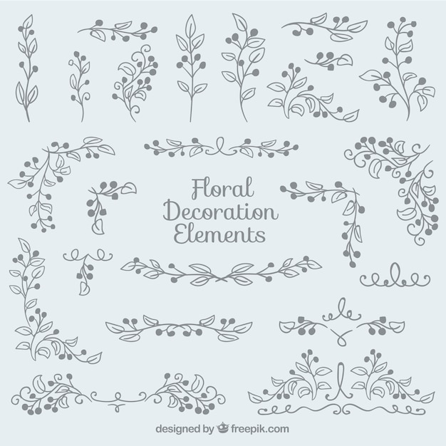 Hand drawn floral decoration pack