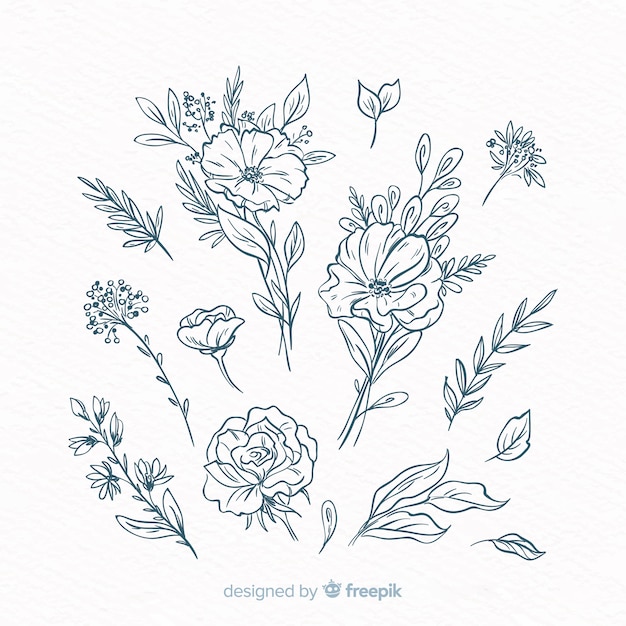 Free Vector hand drawn floral decorative elements