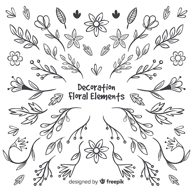 Hand drawn floral decorative elements