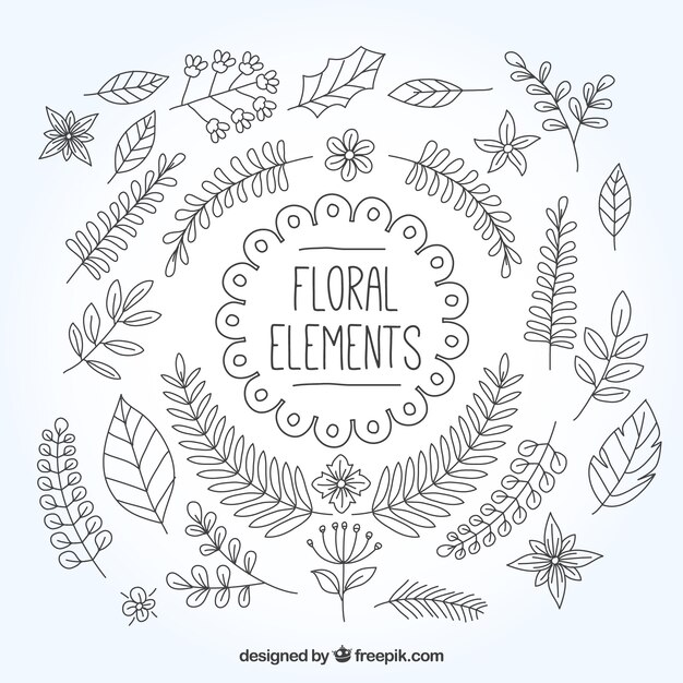 Hand-drawn floral element collection