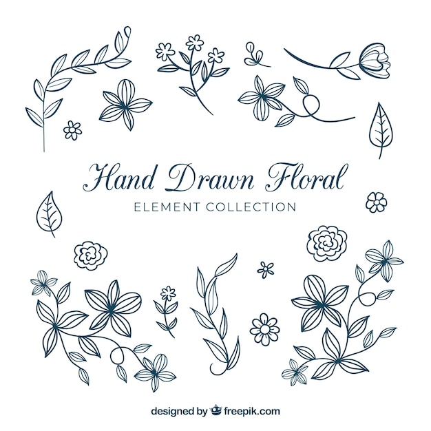 Hand drawn floral elements collection