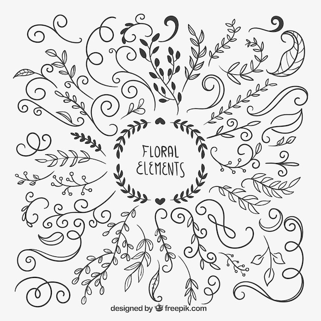 Free Vector hand drawn floral elements