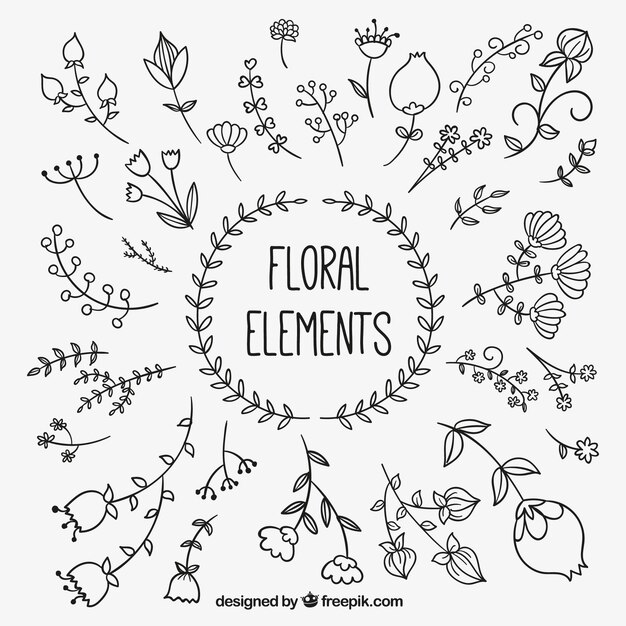 hand drawn floral elements