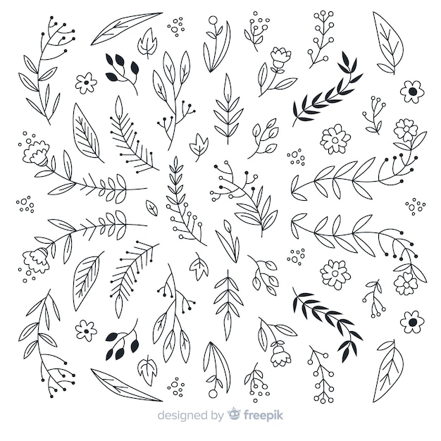 Hand drawn floral ornament collection