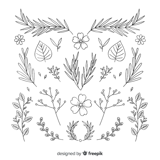 Hand drawn floral ornament collection