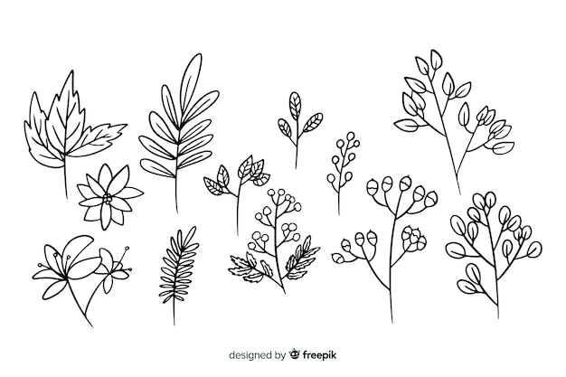 Hand drawn floral ornament collection