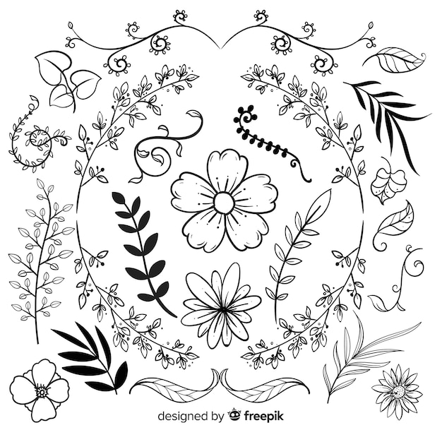 Free Vector hand drawn floral ornament collection