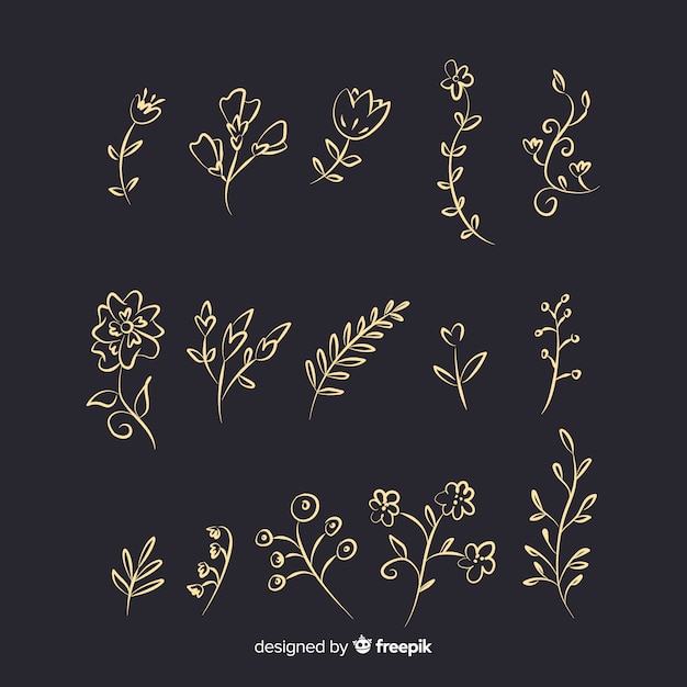 Free Vector hand drawn floral ornament collection