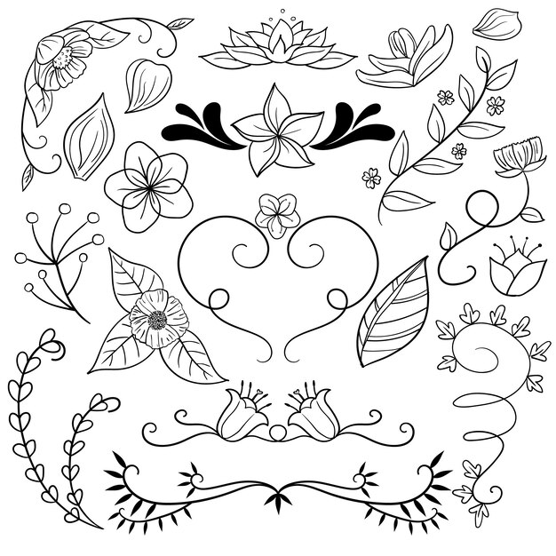 Hand drawn floral ornament collection